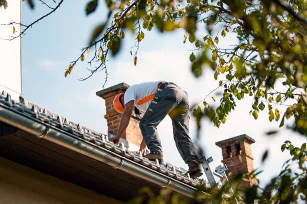 Best Roof Gutter Cleaning  in Mango, FL