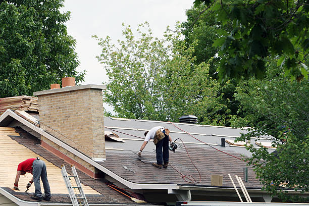 Best Shingle Roofing Installation  in Mango, FL
