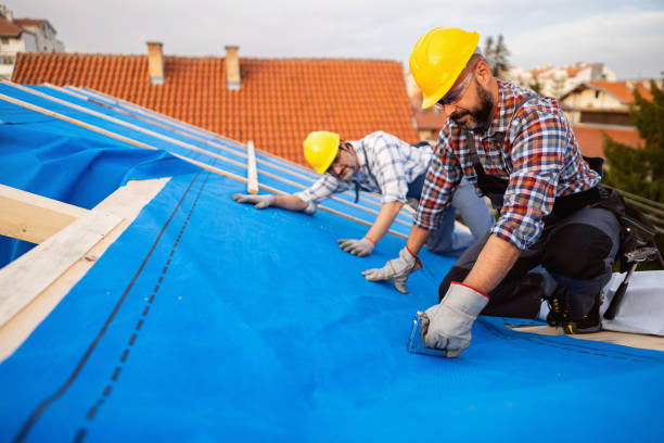 Best Emergency Roof Repair  in Mango, FL